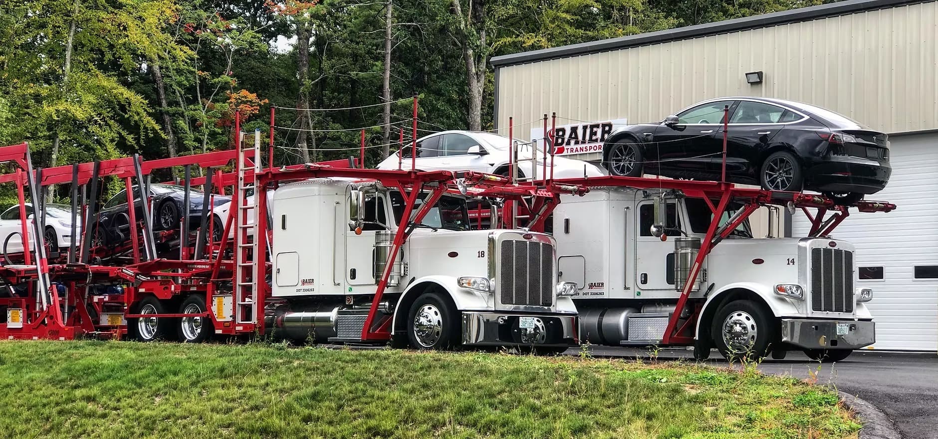 White Peterbilt car carriers with red steel frames loaded with Tesla and vehicles at Baier Transport Seabrook NH headquarters